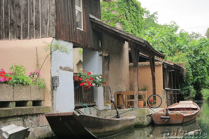 Mit dem Ruderboot durch Petite Venice in Colmar