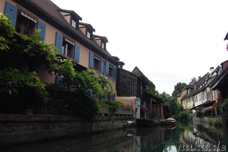 Mit dem Ruderboot durch Petite Venice in Colmar