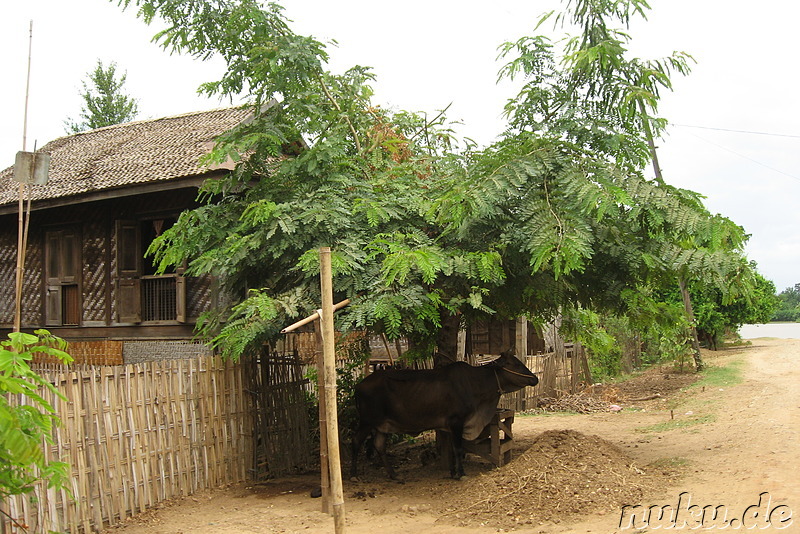 Mit der Pferdekutsche auf Erkundungstour in Inwa, Burma