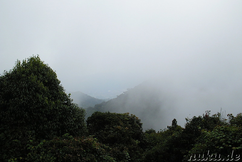 Mount Brinchang, Cameron Highlands, Malaysia