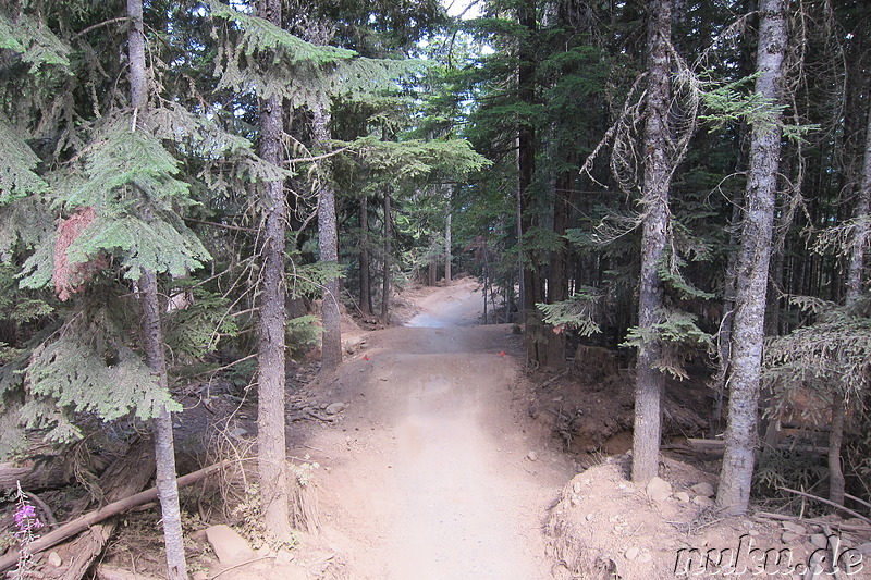 Mountainbiking in Whistler, Kanada