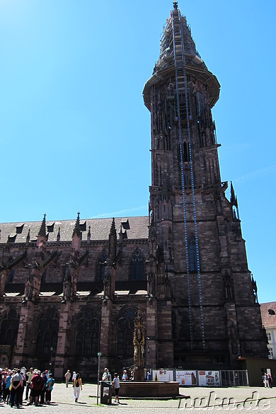 Münster in Freiburg, Baden-Württemberg