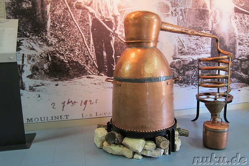 Musee de la Lavande im Naturpark Luberon, Frankreich