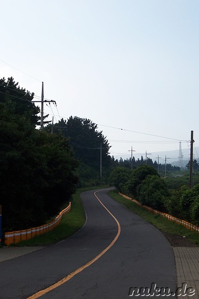 Mysterious Road