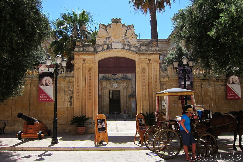 National Museum of Natural History in Mdina, Malta