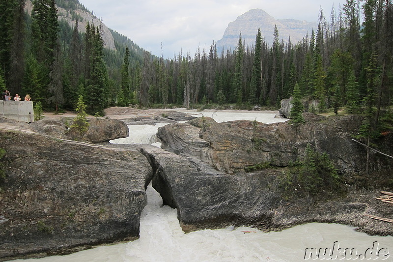 Natural Bridge - Natürliche Brücke aus Fels im Yoho National Park, Kanada