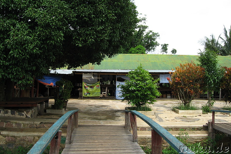 Nga Hpe Kyaung - Jumping Cat Monastery