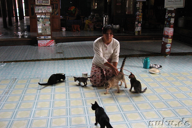 Nga Hpe Kyaung - Jumping Cat Monastery