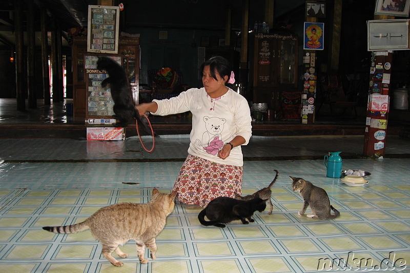 Nga Hpe Kyaung - Jumping Cat Monastery