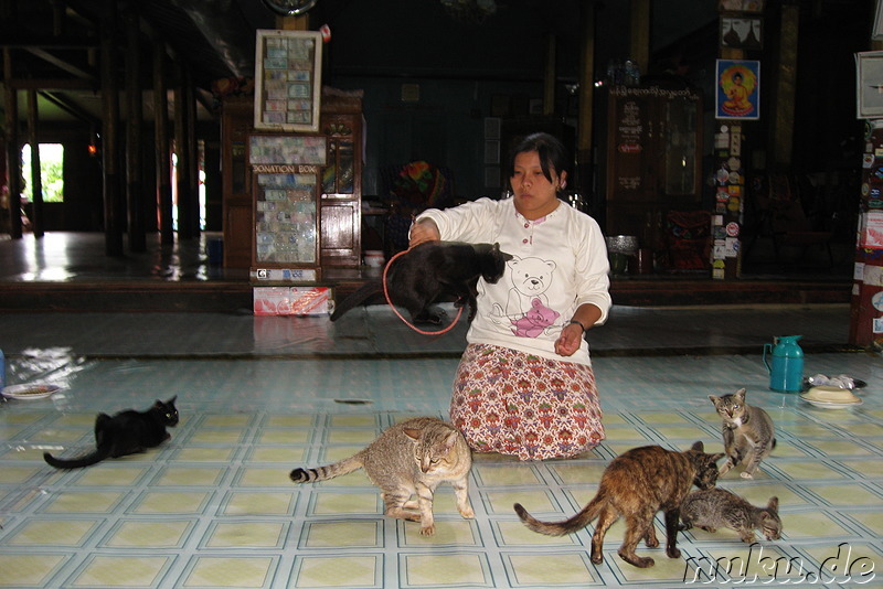 Nga Hpe Kyaung - Jumping Cat Monastery