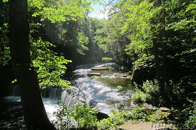 Nommeveski Canyon im Lahemaa National Park, Estland