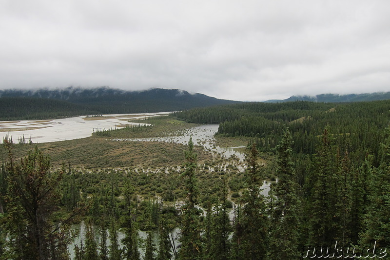 North Saskatchewan River - Fluss im Banff National Park, Kanada