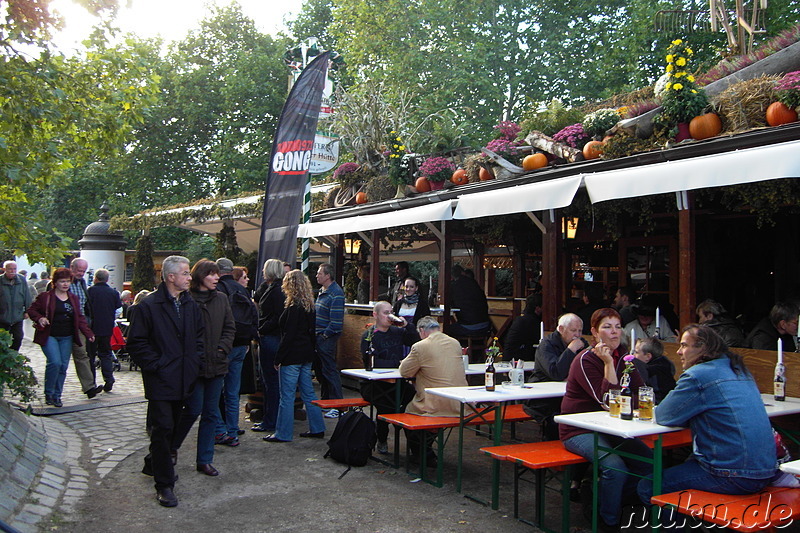 Nürnberger Altstadtfest 2010 in Nürnberg, Franken