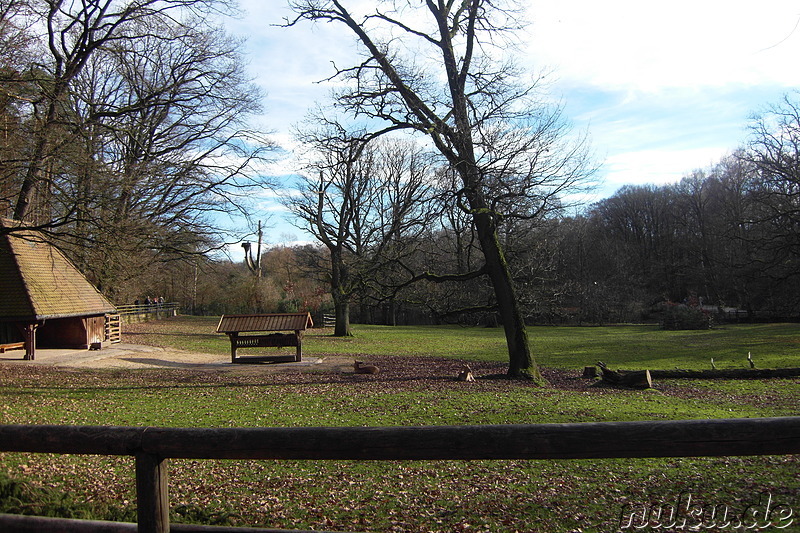 Nürnberger Tiergarten in Nürnberg, Franken