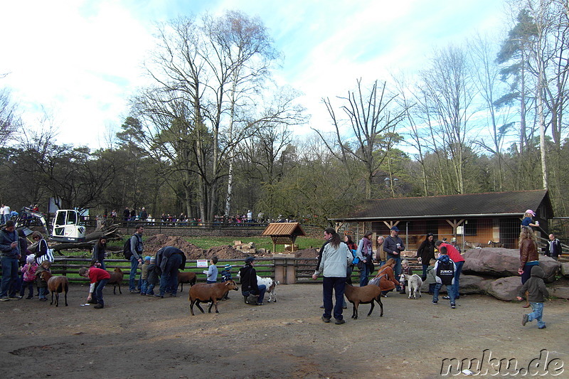 Nürnberger Tiergarten in Nürnberg, Franken