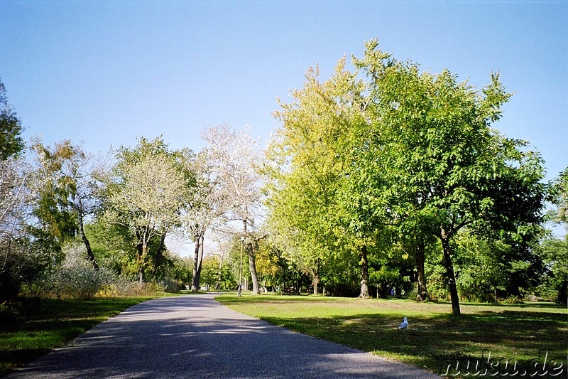 Park auf den Toronto Islands, Kanada