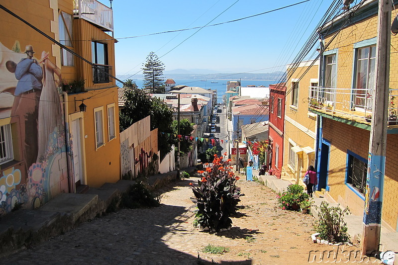 PataPata Hostel in Valparaiso, Chile