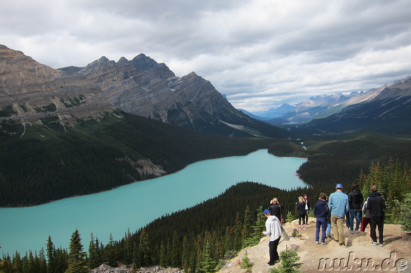 Peyto Lake im Banff National Park, Kanada