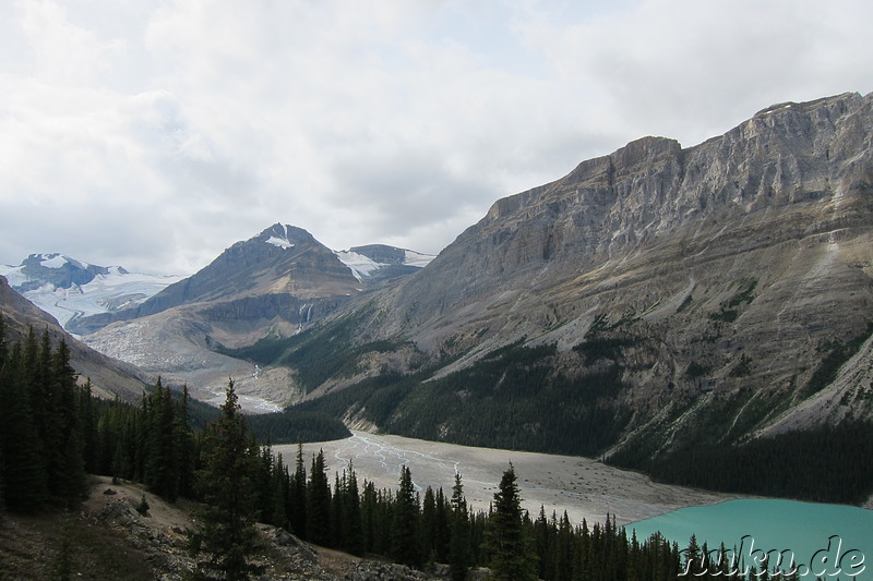 Peyto Lake im Banff National Park, Kanada