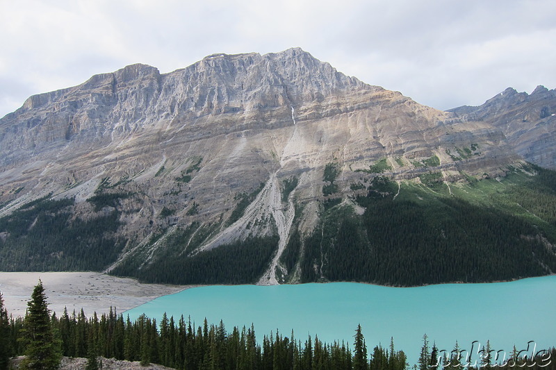 Peyto Lake im Banff National Park, Kanada