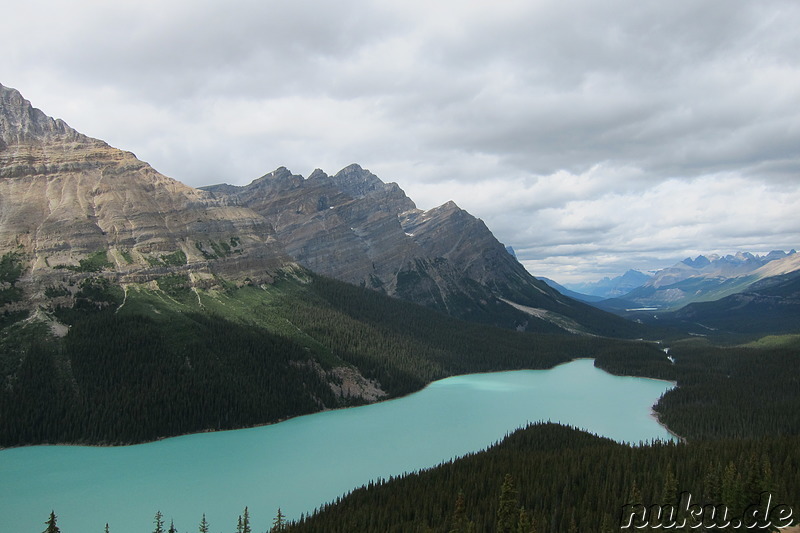 Peyto Lake im Banff National Park, Kanada