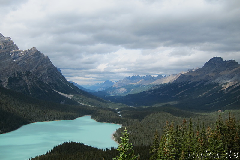 Peyto Lake im Banff National Park, Kanada