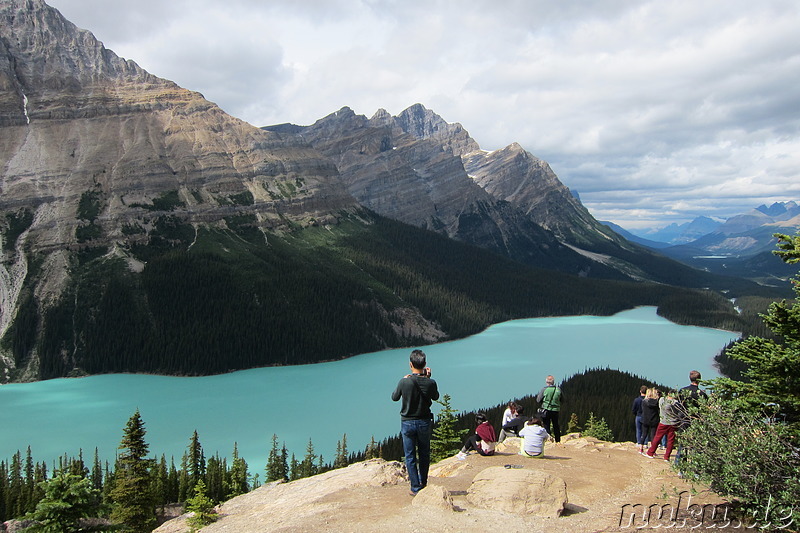 Peyto Lake im Banff National Park, Kanada