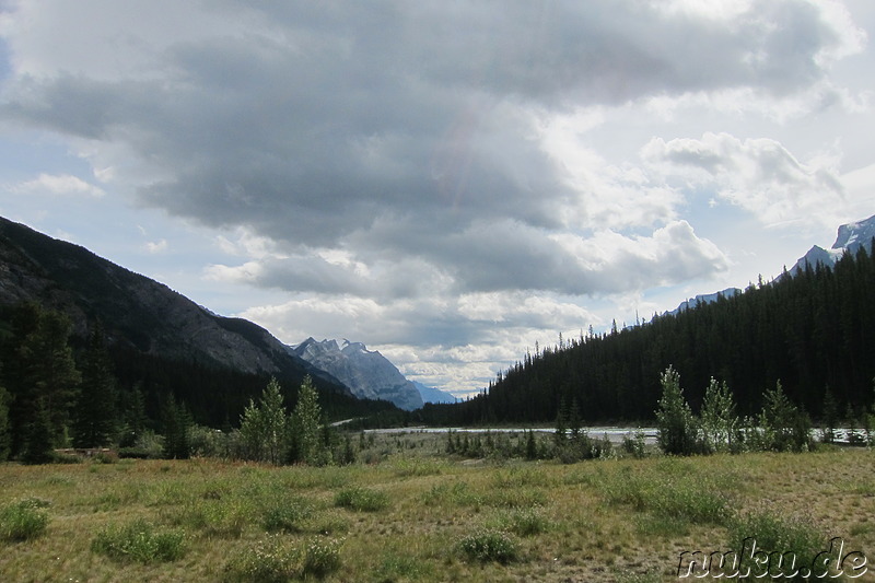 Picknick auf einer grünen Wiese im Jasper National Park, Kanada