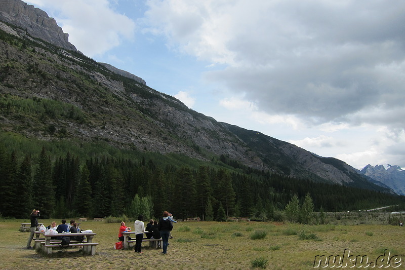 Picknick auf einer grünen Wiese im Jasper National Park, Kanada