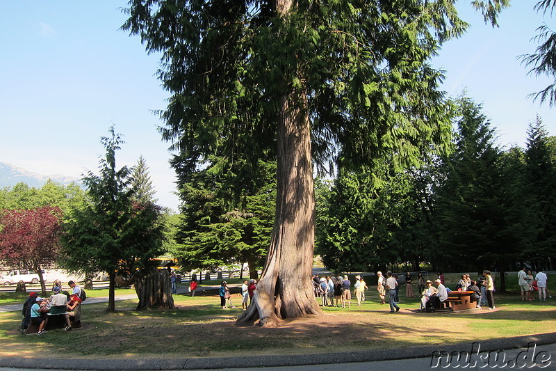 Picknickplatz an den Shannon Falls in British Columbia, Kanada