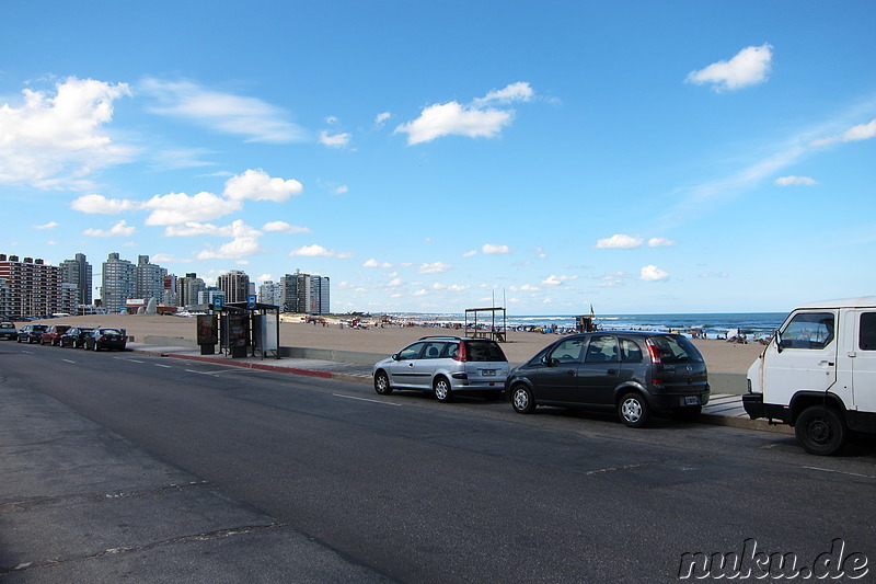 Playa Brava - Bester Strand in Punta del Este, Uruguay