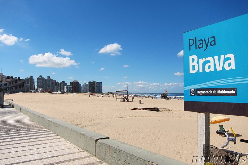 Playa Brava - Bester Strand in Punta del Este, Uruguay