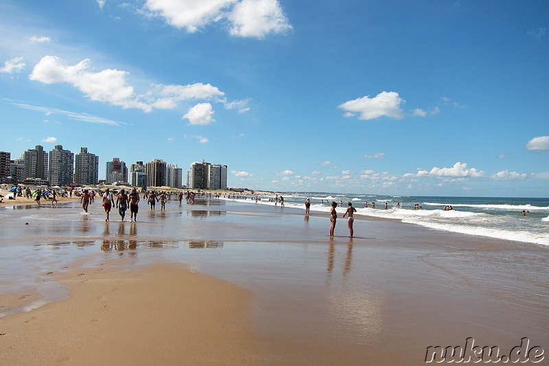 Playa Brava - Bester Strand in Punta del Este, Uruguay