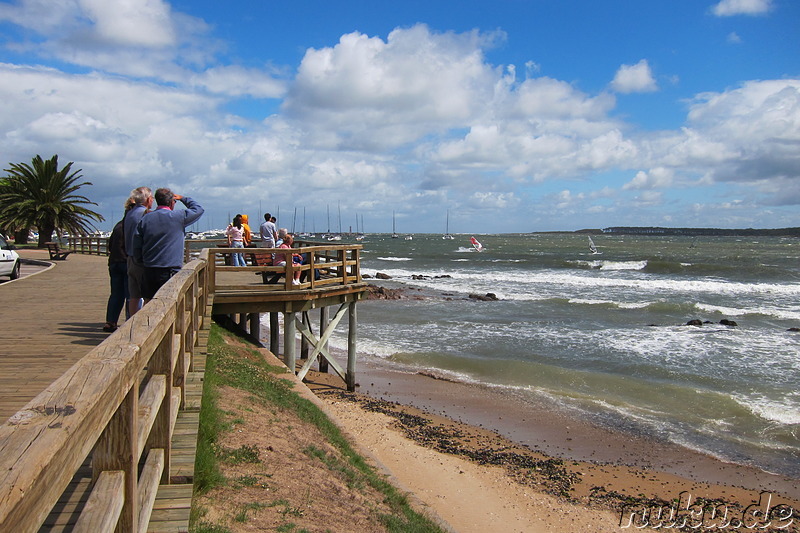 Playa Mansa - Strand in Punta del Este, Uruguay