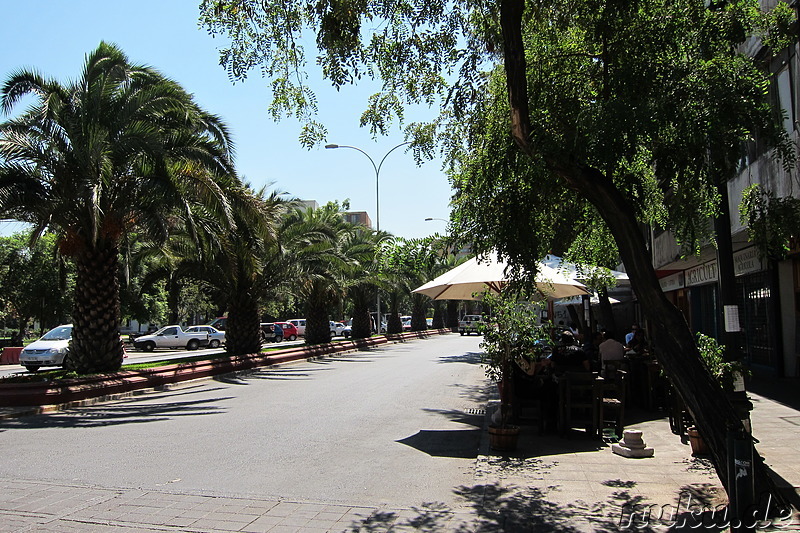 Plaza Brazil in Santiago de Chile