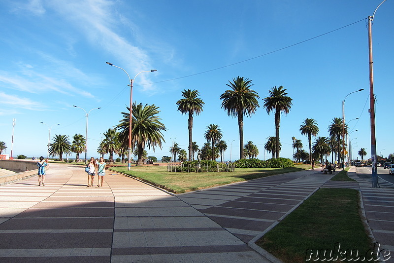 Plaza Daniel Munoz in Montevideo, Uruguay
