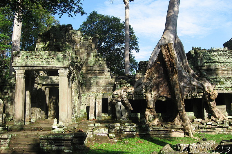 Preah Khan Tempel in Angkor, Kambodscha