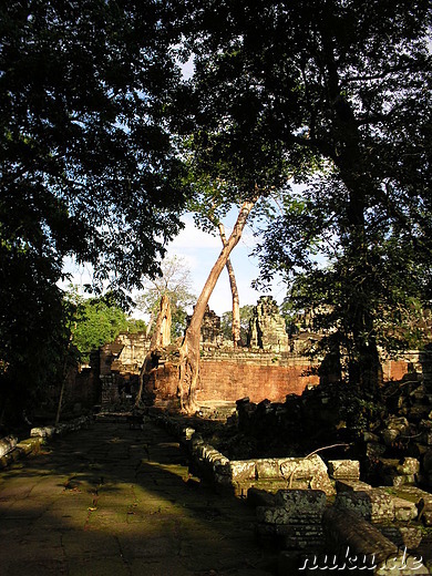 Preah Khan Tempel in Angkor, Kambodscha