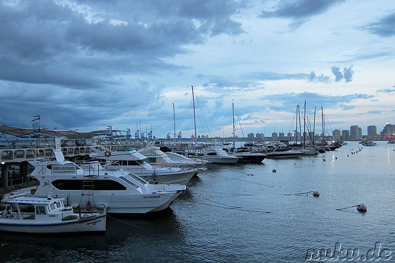 Puerto - Am Hafen von Punta del Este, Uruguay