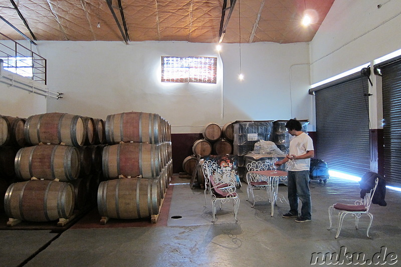 Pulmary in Chacras de Coria, Argentinien