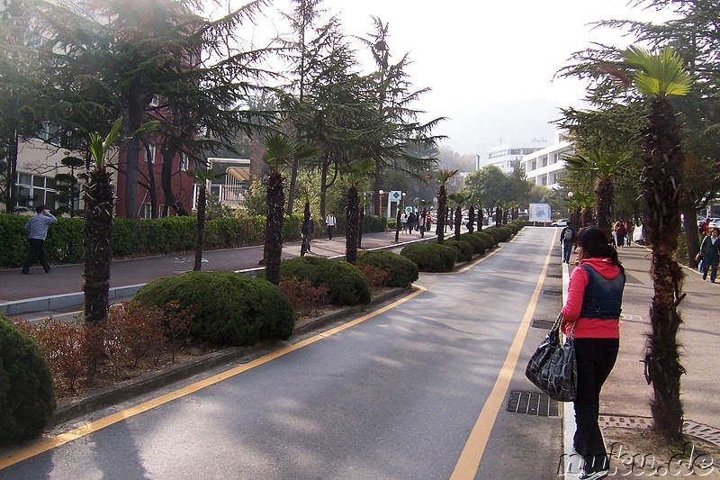 Pusan National University