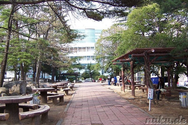 Pusan National University