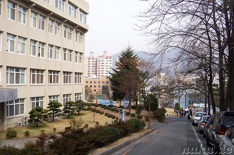 Pusan National University