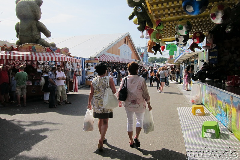 Regensburger DULT - Volksfest in Bayern