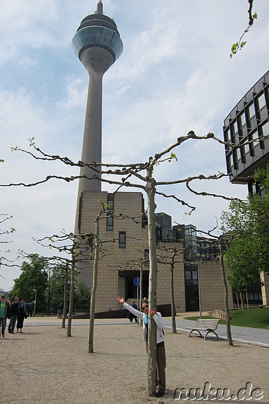 Rheinuferpromenade in Düsseldorf