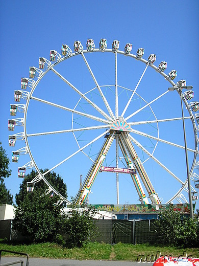 Riesenrad auf dem Hamburger Dom