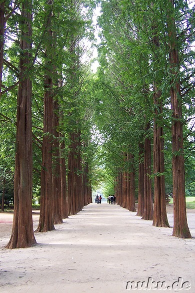 Romantischer Weg