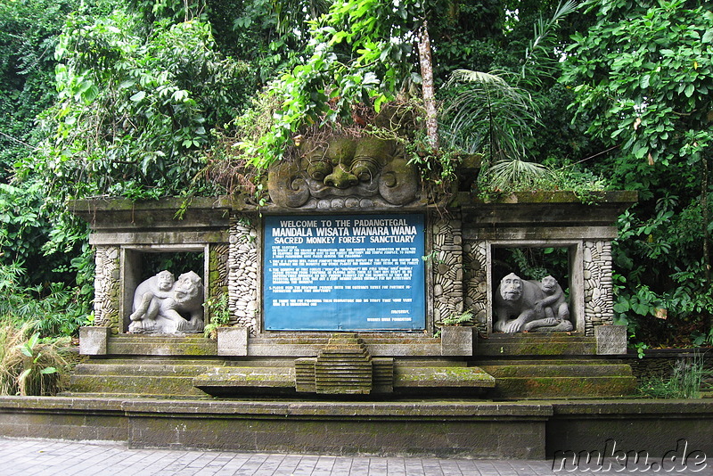 Sacred Monkey Forest Sanctuary, Ubud, Bali, Indonesien