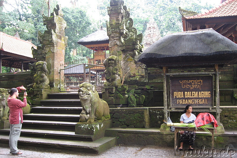 Sacred Monkey Forest Sanctuary, Ubud, Bali, Indonesien