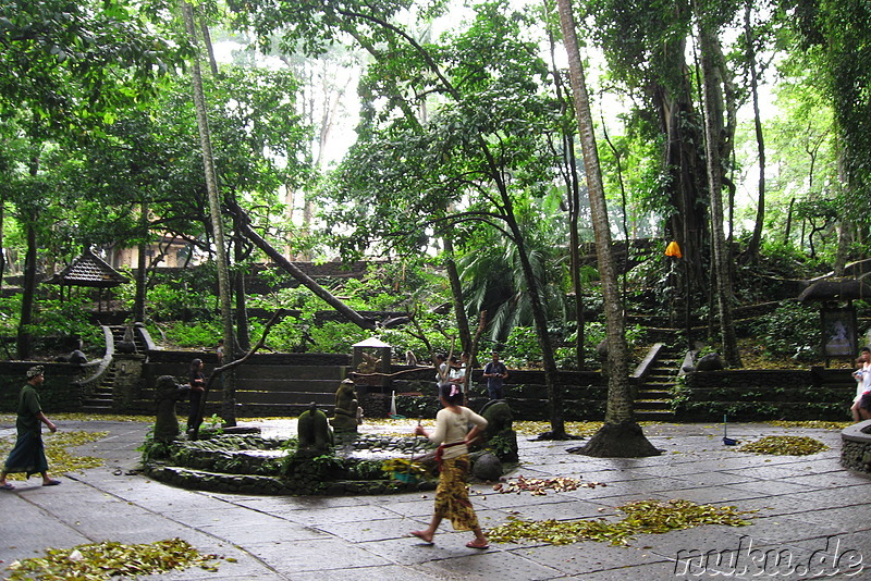 Sacred Monkey Forest Sanctuary, Ubud, Bali, Indonesien